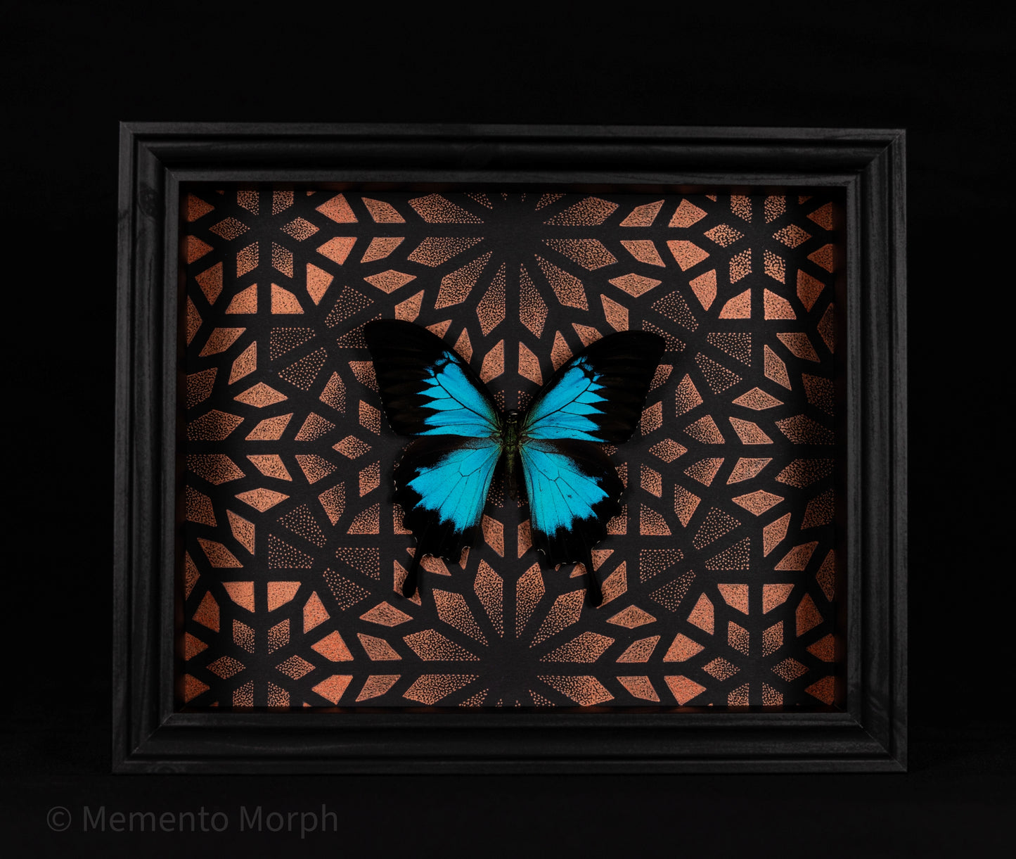 Framed Papilio Ulysses with Copper Pattern Background