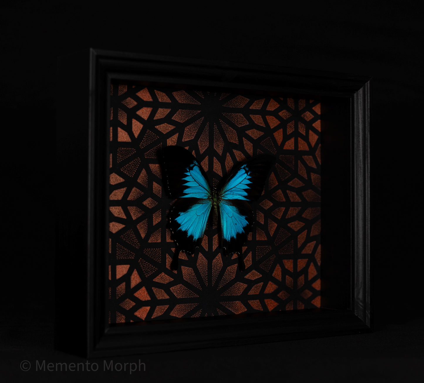 Framed Papilio Ulysses with Copper Pattern Background