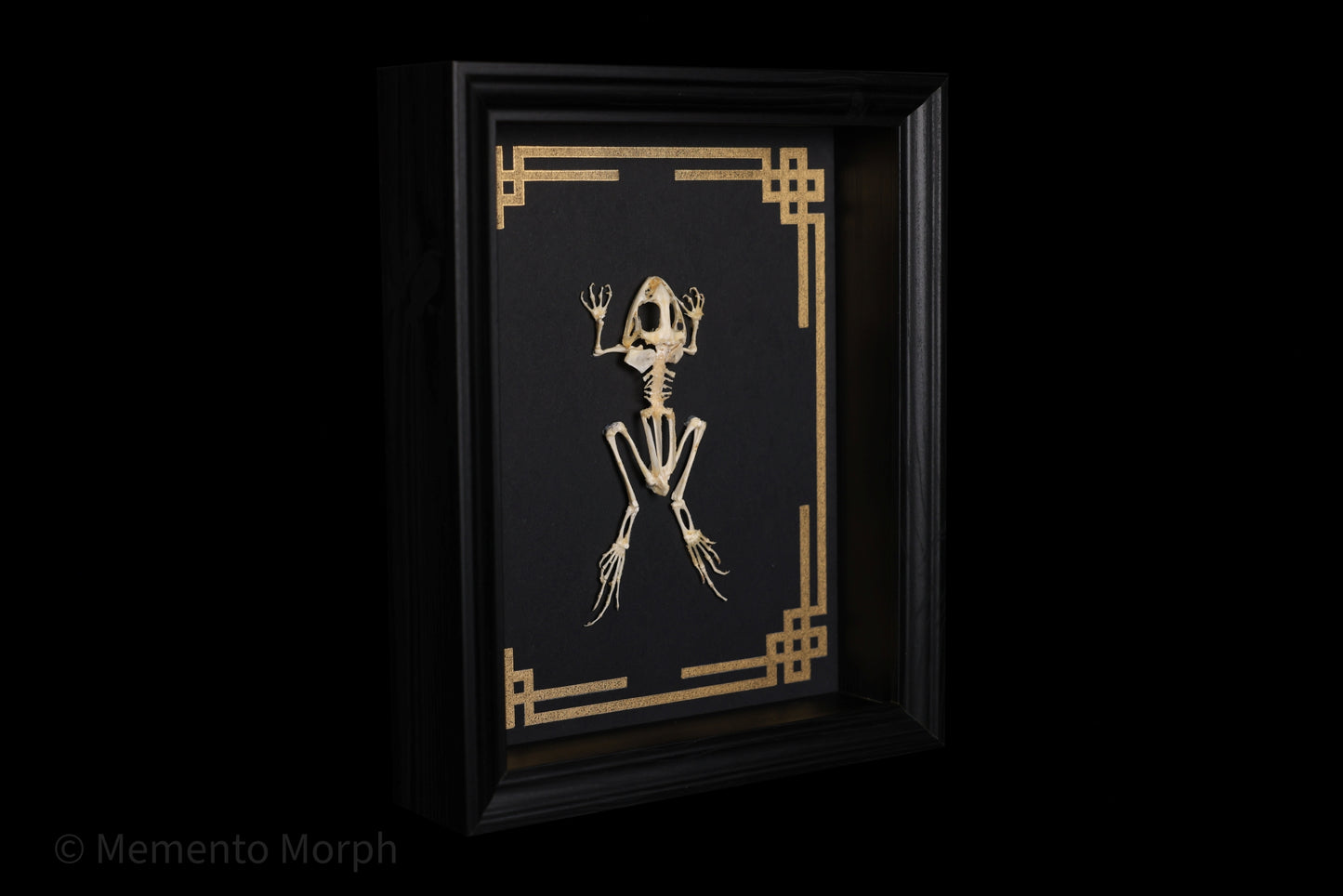 Framed Fejervarya Limnocharis Skeleton with Gold Japanese Ornamental Background