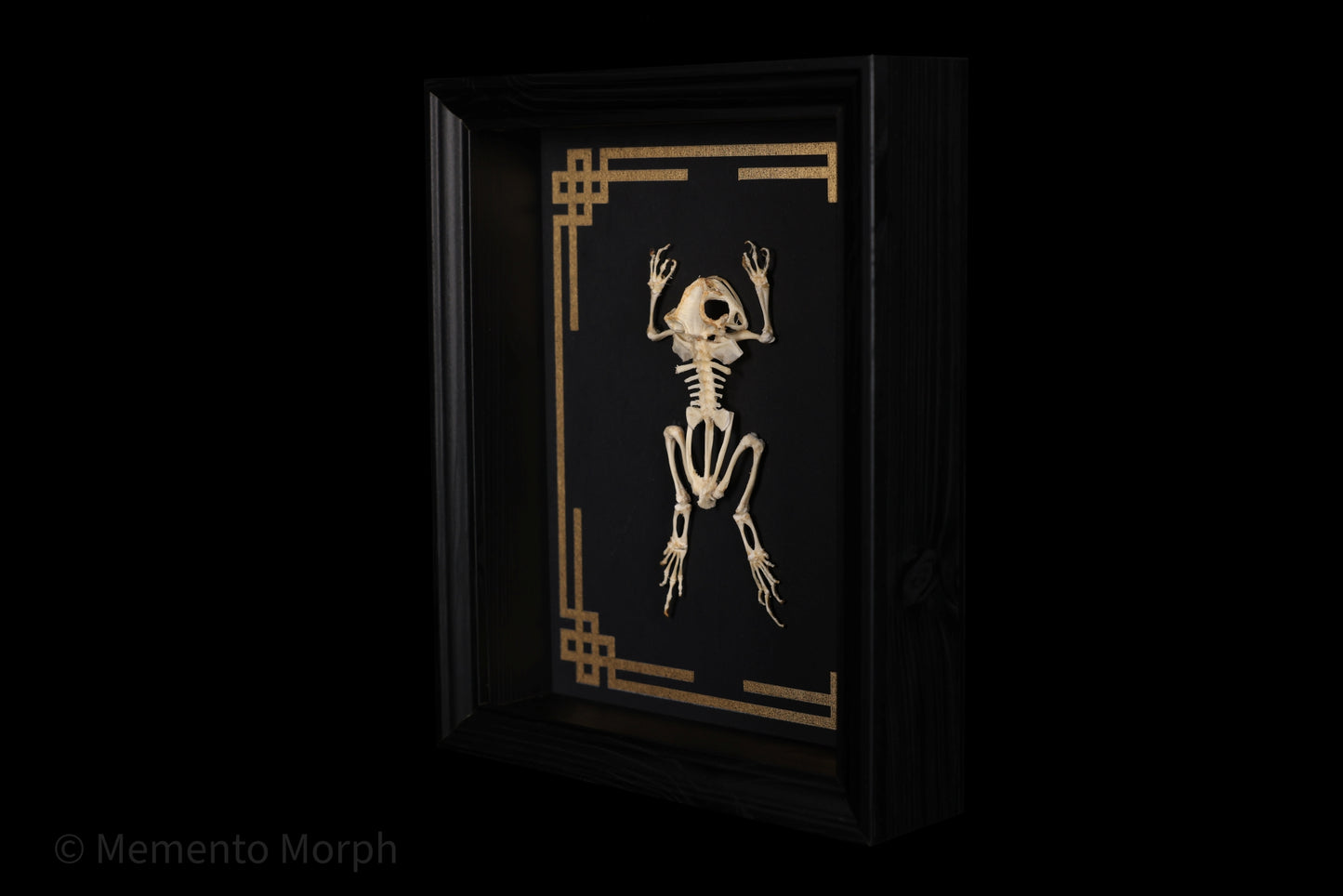 Framed Duttaphrynus Melanostictus Skeleton with Gold Japanese Ornamental Background