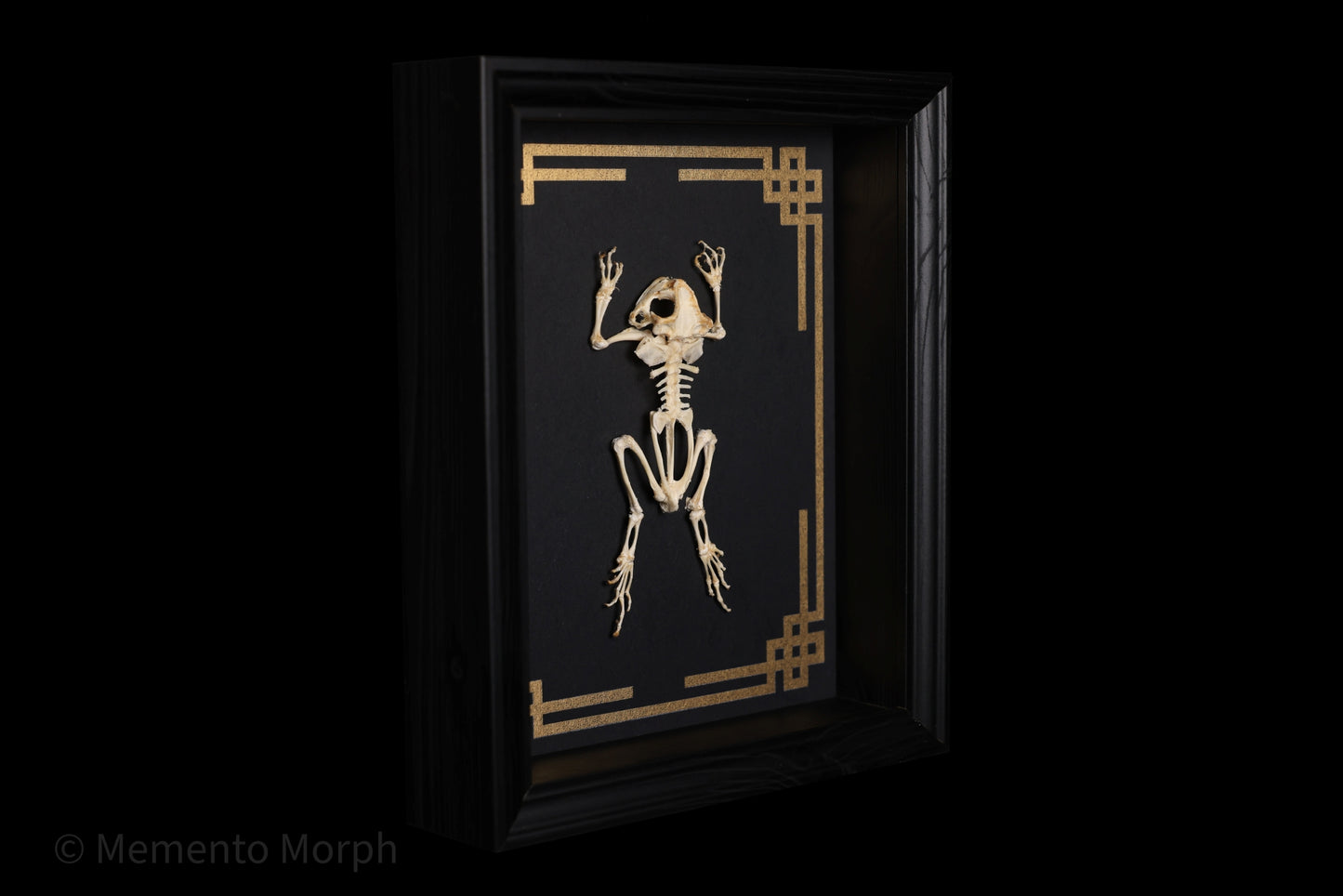 Framed Duttaphrynus Melanostictus Skeleton with Gold Japanese Ornamental Background