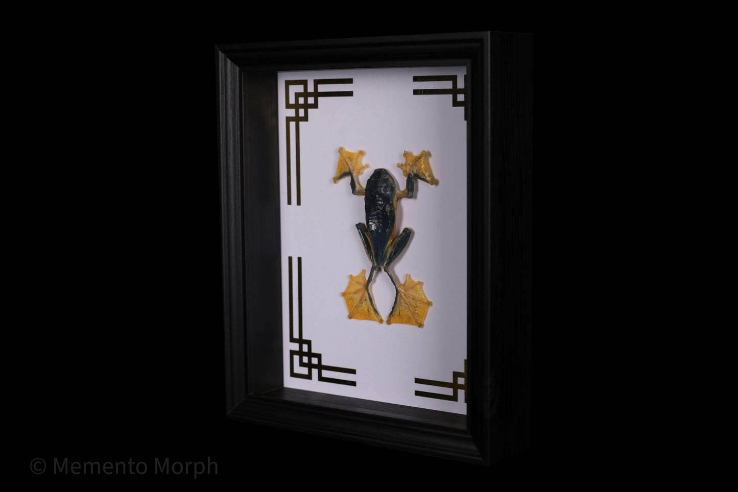 Framed Rhacophorus Reinwardtii with Gold Japanese Ornamental Background