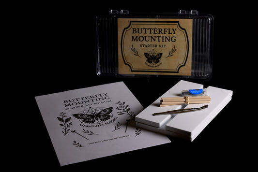Butterfly Mounting - Starter Kit Manual with 4 specimens