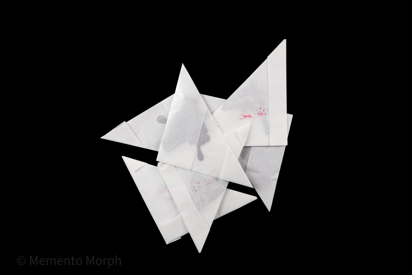 Hypolimnas Mechowi (Folded Wings)
