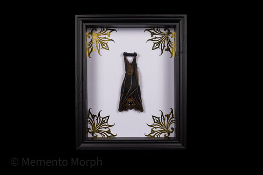 Framed Cynopterus Brachyotis with Gold Ornaments