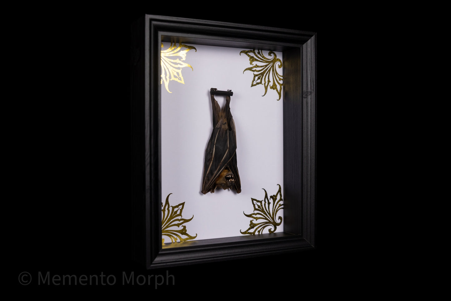 Framed Cynopterus Brachyotis with Gold Ornaments